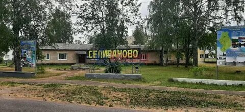 Селиваново ленинградская
