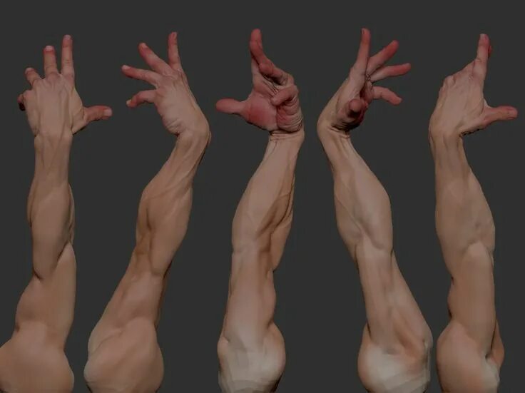 Рука до плеча. Мужская рука. Руки поднятые вверх. Ур рук. Амонг ас руки скетч.