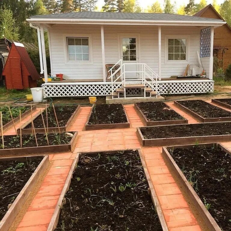 Садоводы и огородники. Новинки для сада и огорода 2021. Все о саде и огороде. Французский огород с зоей козичевой. Сад и огород.