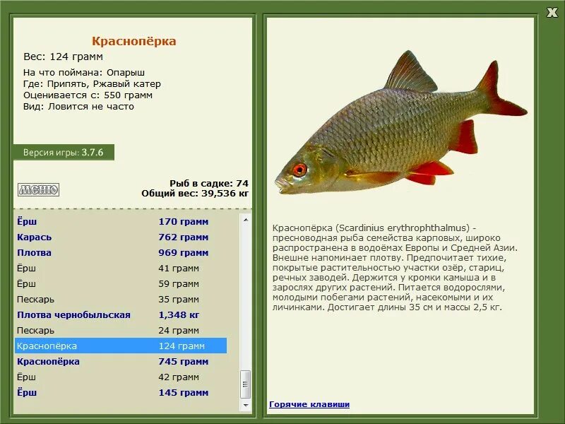На что лучше ловить красноперку Ловля краснопёрки зимой ТМ "Klevo"