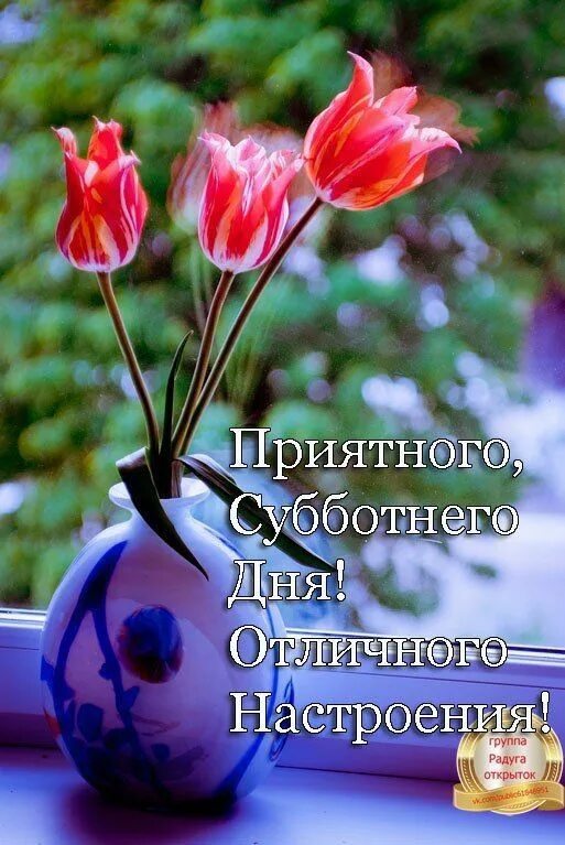 Доброе утро благословенного дня хорошего настроения картинки. Доброго благословенного дня. доброе весеннее утро цитаты. хорошего настроения и удачного дня цветы. отличного настроения.