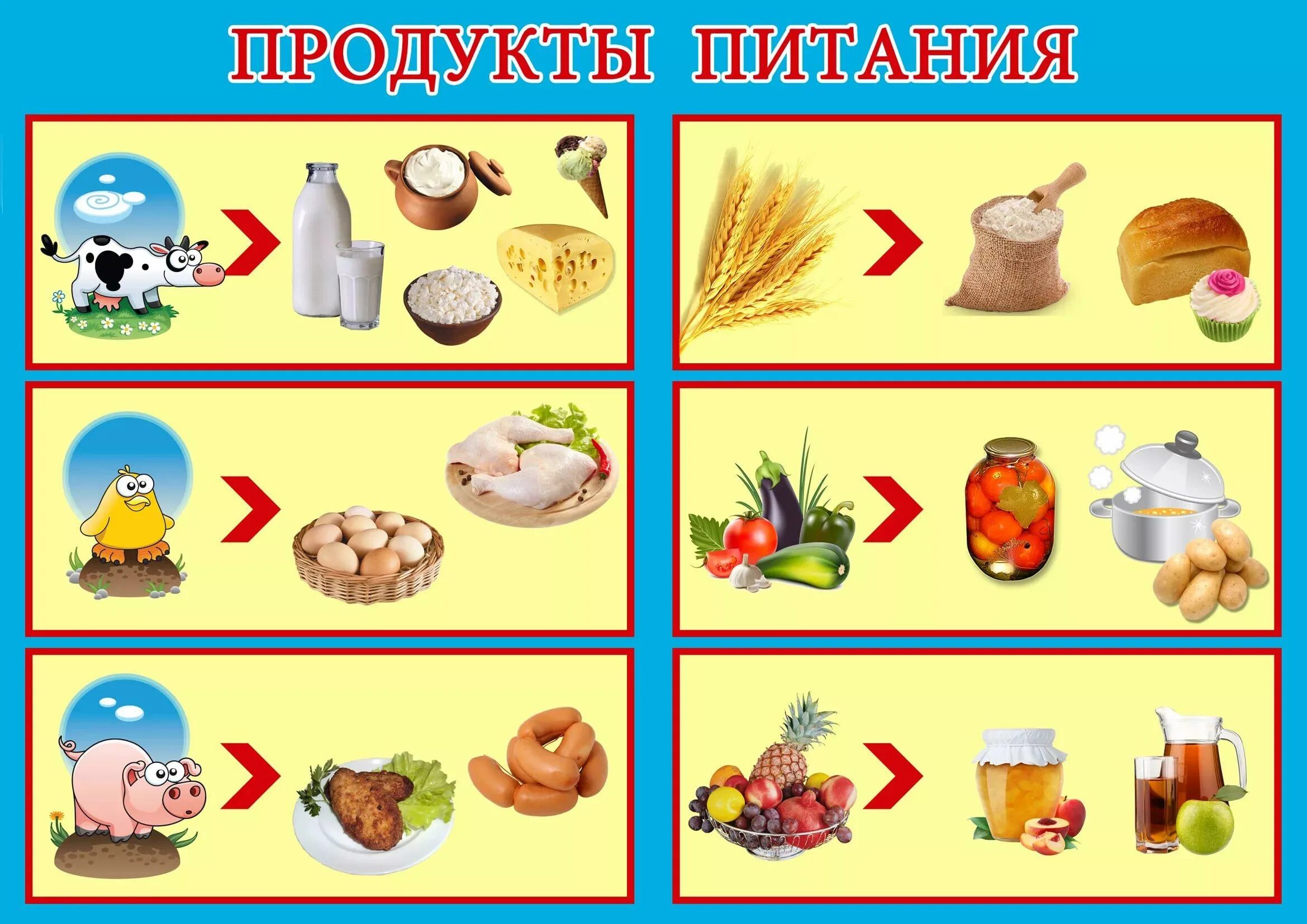 Продукты питания для дошкольников. Продукты питания подготовительная группа. Лексическая тема продукты питания. Продукты питания для детей в детском саду.