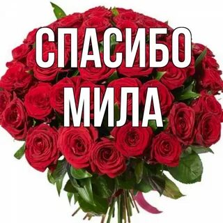 Полное имя милы