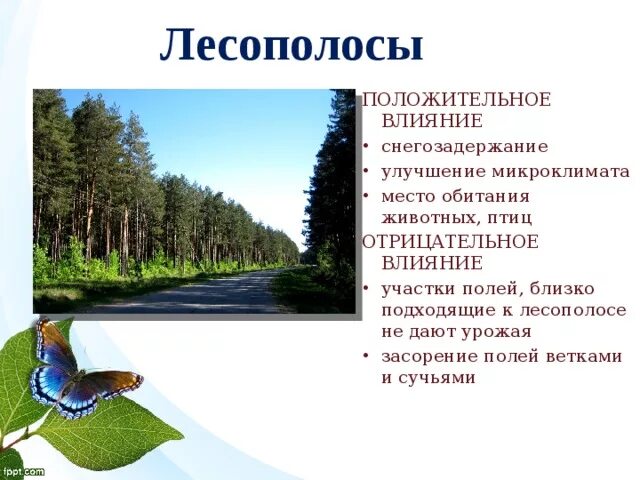 Значение лесополос. Пути повышения устойчивости агроценозов. Засуха характеристика. Каково значение лесополос в борьбе с засухой,6 класс. Кратко меры борьбы с суховеями.