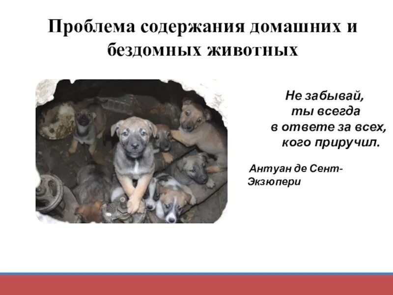 Содержание живности. Содержание живности