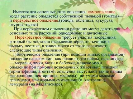 Томат самоопыление