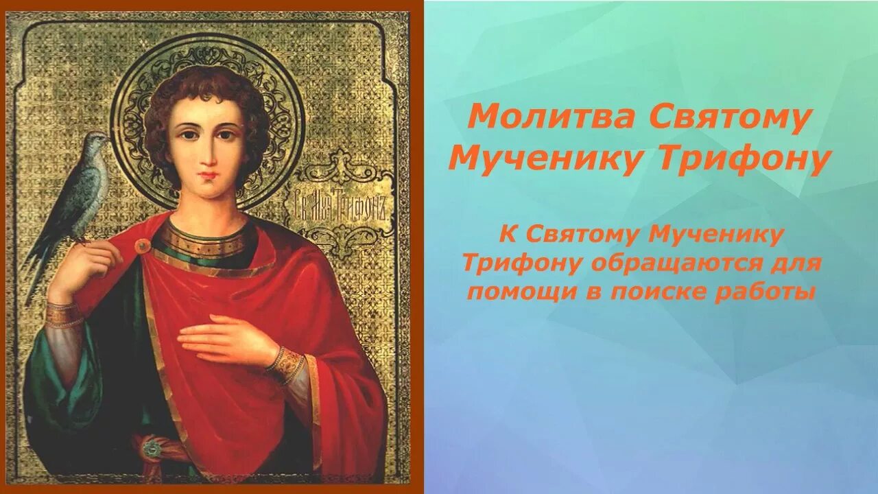 Молитва Трифону мученику. Молитва св мученику Трифону.