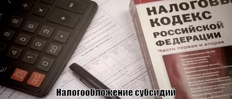 Индивидуальный предприниматель. Субсидии от государства на бизнес. Налоговый субсидии. Плательщики налога. Контроль за финансами.