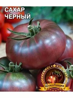 Томат сахар отзывы