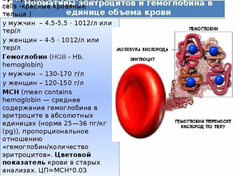 Снижение гемоглобина. Норма эритроцитов и гемоглобина в крови. Снижение уровня гемоглобина. Кол во эритроцитов в крови человека. Степени сниженного гемоглобина.