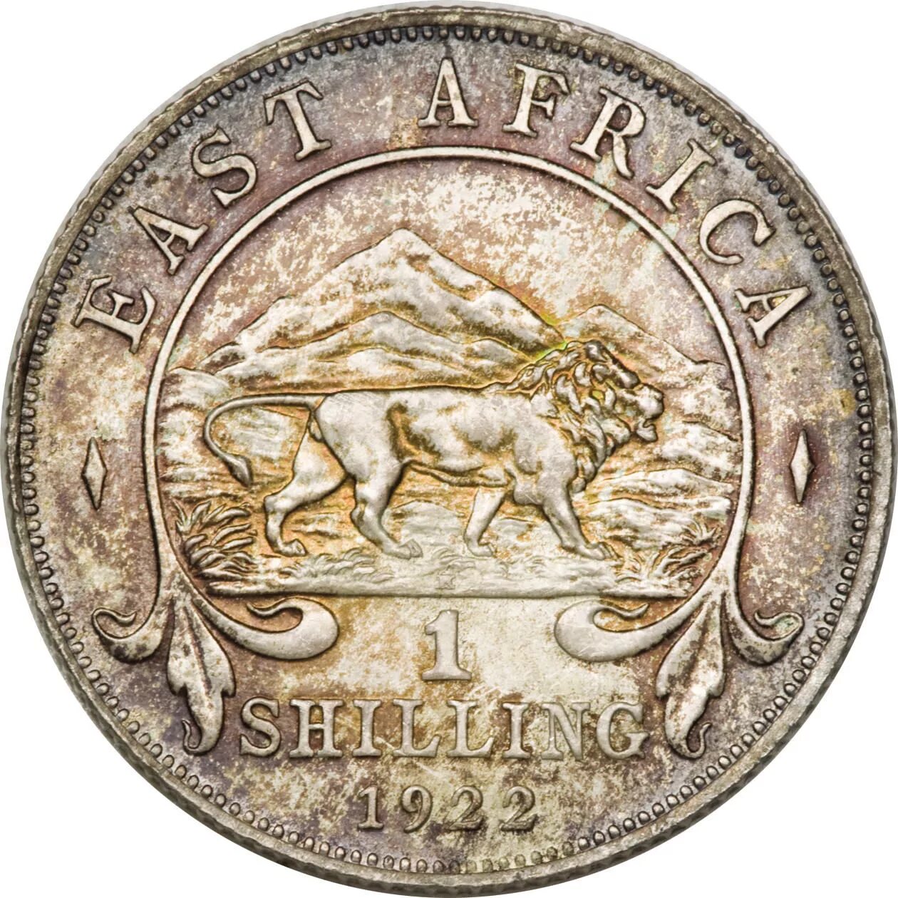 First coins. 1 Шиллинг Восточная Африка. Монета 1 шиллинг. Монеты британской Восточной Африки. Древние монеты Африки.