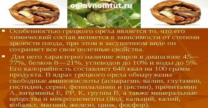 Что содержится в грецких