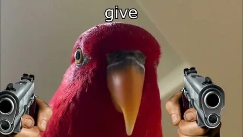 Sauce meme