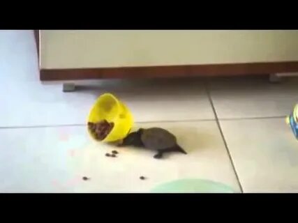 Пока никто не видит видео