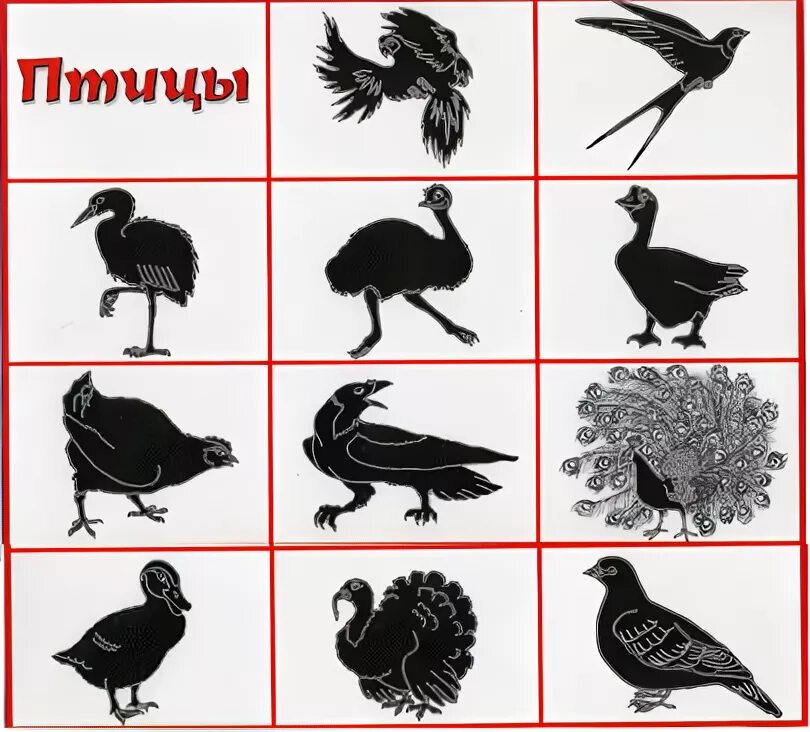 Игра угадай птицу. Теневое лото перелетные птицы. лото теней птицы. узнай птицу по силуэту. птицы теневое лото для детей.