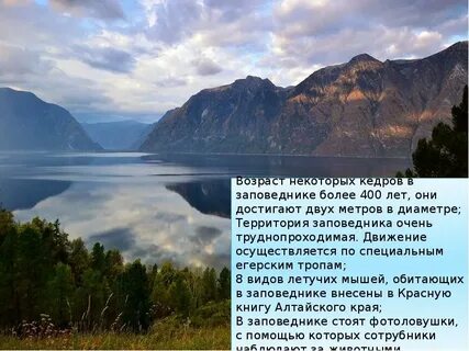Алтайский заповедник доклад 2 класс