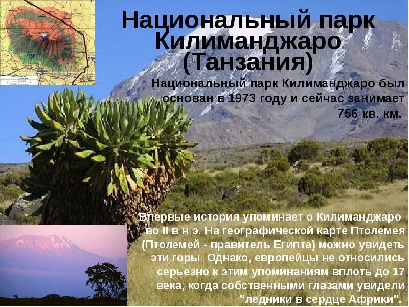 Охраняемые территории африки. Африка южнее сахары. Тропическая африка. Охраняемые территории африки. Парк килиманджаро в африке.