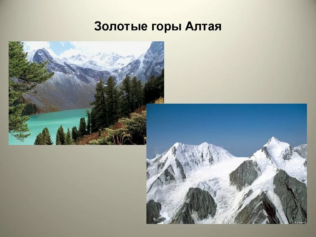 Алтай золотые горы в Евразии. Окружающий мир 4 класс золотые горы Алтая. Горы Гималаи в Евразии. Алтайские горы 4 класс окружающий мир.