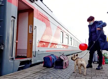 Светлогорск ласточка