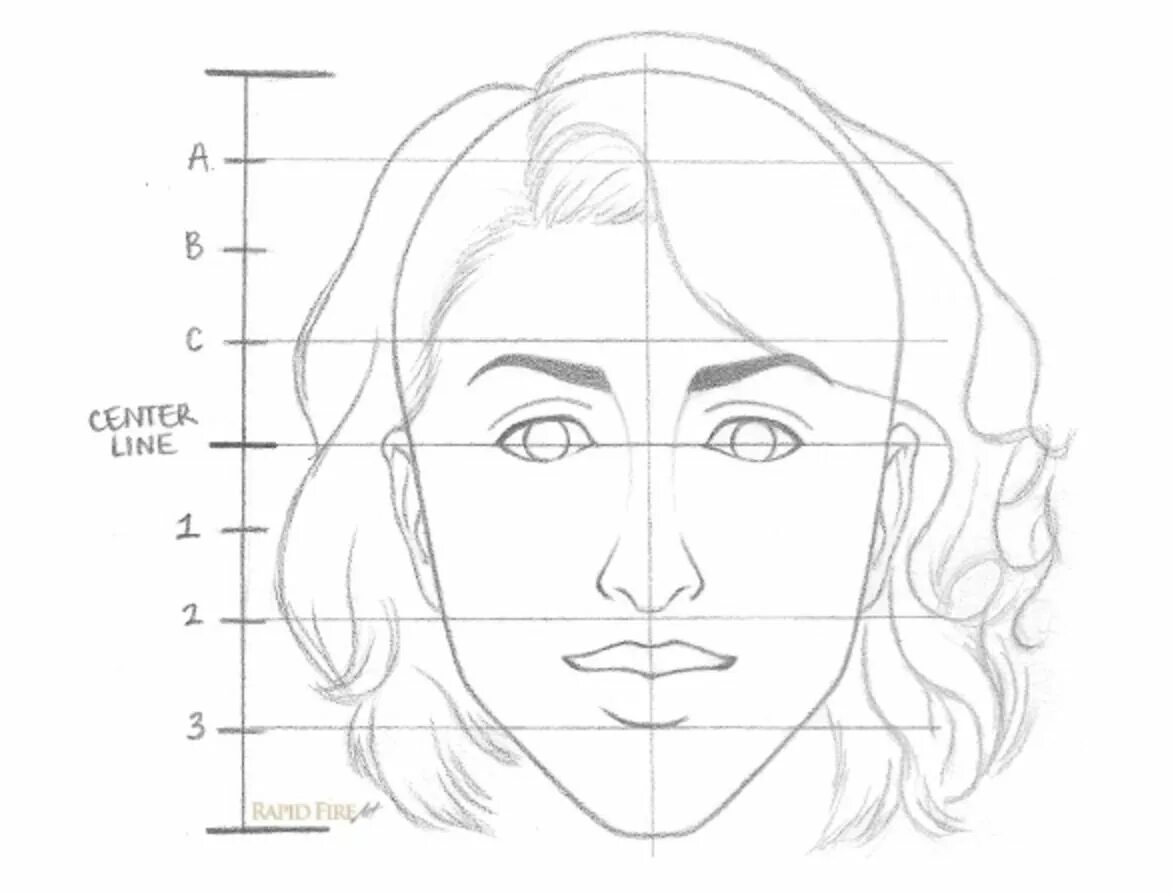 Лицо рисунок схема. Портрет пропорции лица человека поэтапно. Лицо человека карандашом схема. Человеческое лицо рисунок. Пропорции лица человека карандашом.
