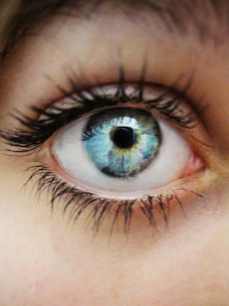 Голубые глаза. Красивые глаза. Красивые голубые глаза. Красивый цвет глаз. Глазки раскрой