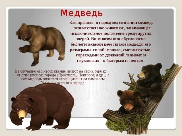 Презентация день медведя 13 декабря. День медведя в россии. неофициальные символы россии медведь. день медведя презентация. день медведя стихи.