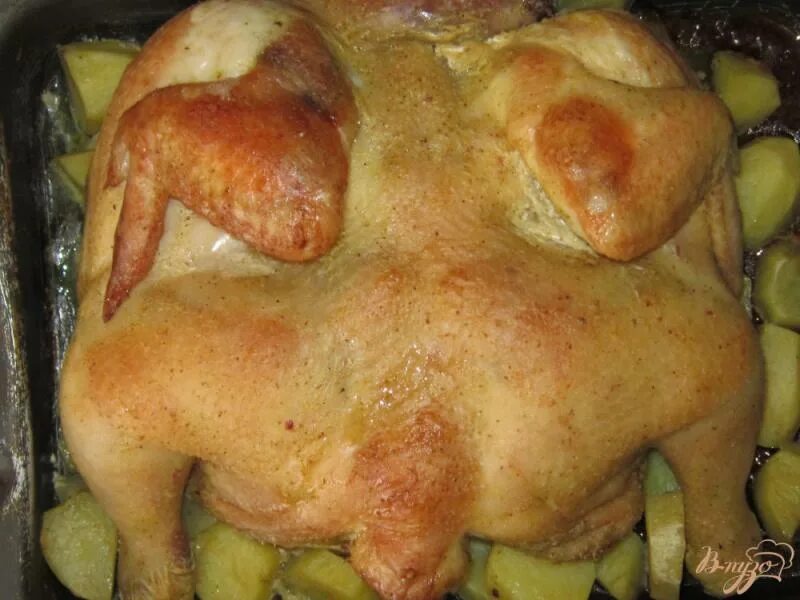 Рецепт приготовления курицы на протвине