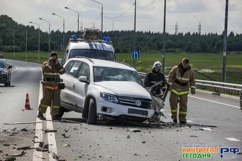 Почасовой кингисепп