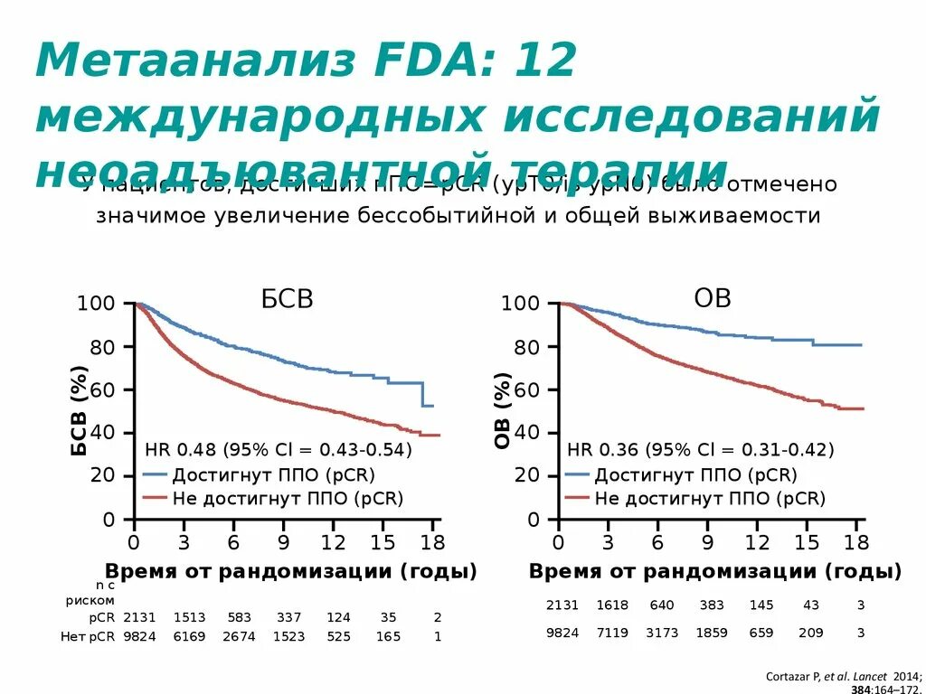 Опухоль her2 позитивная молочной железы. РМЖ выживаемость. РМЖ выживаемость 2 стадия. Статистика выживаемости при РМЖ.