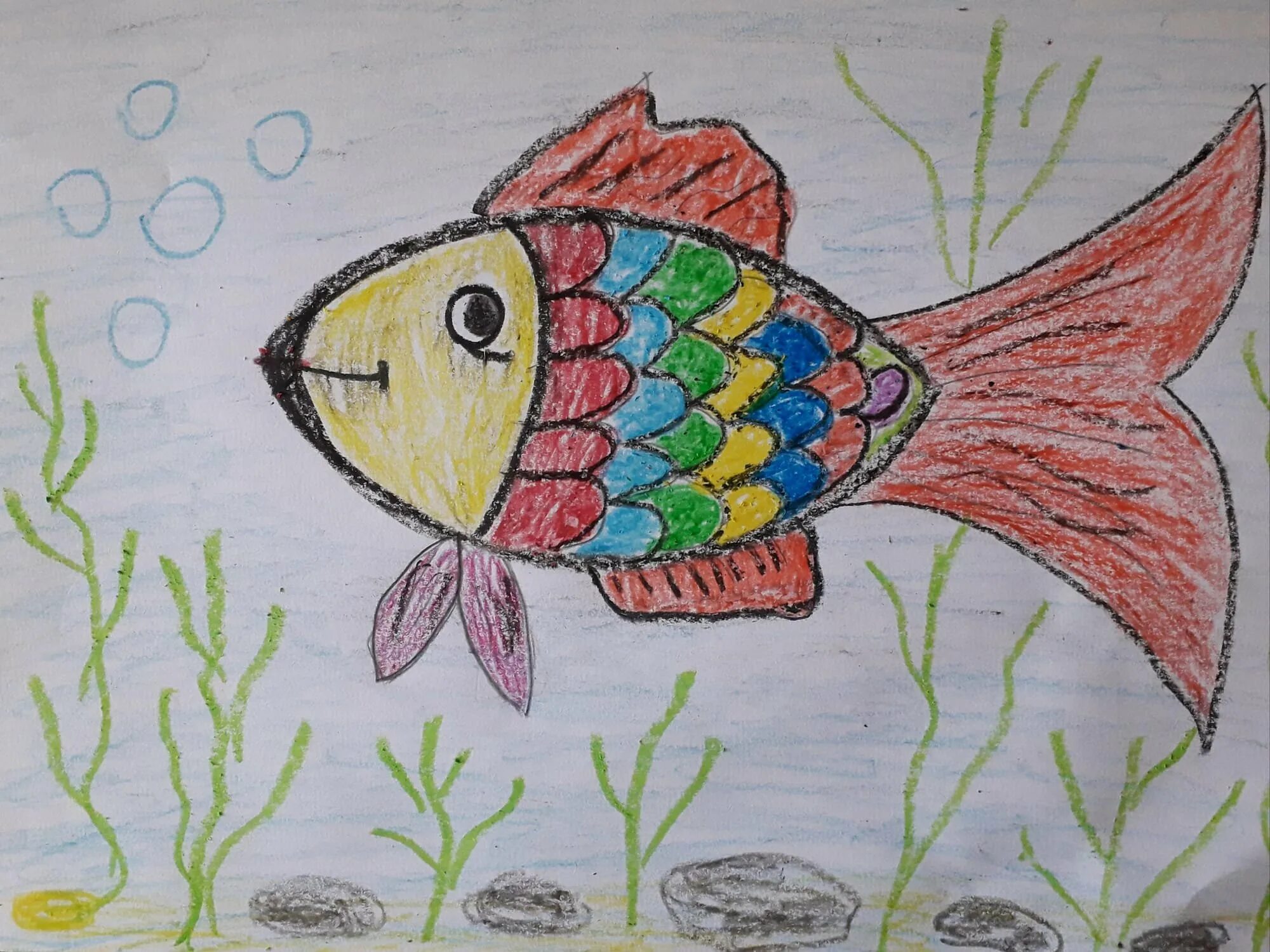 Золотая рыбка рисование восковые мелки и акварель. Рисование рыбы в старшей группе. Рисование рыбки в средней группе. Рисование рыбы в подготовительной группе.