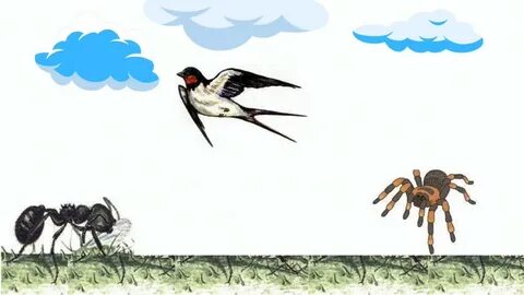 Олар ВК ішінде аяқталды