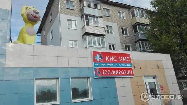 Люблю тебя мяу. Кис кис муром врачи. Кис кис муром. Кис кис ветеринарная клиника муром. Кис кис кис кис женщина сюрприз.