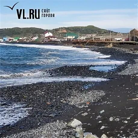 Зарубино нижний новгород. Поселок зарубино приморский край. Квадроциклы зарубино белогорск. Вода в зарубино. Домики в зарубино приморский край.