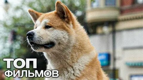 Ладно подождем