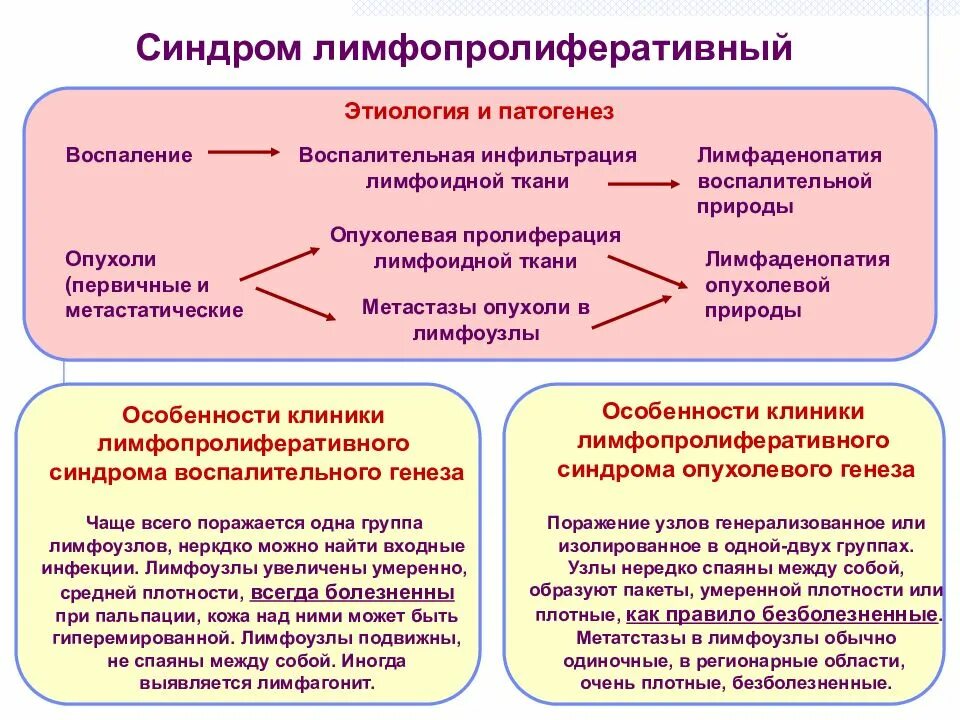 Дифференциальная диагностика лимфопролиферативного синдрома.. Патогенез лимфопролиферативного синдрома. Дифференциальная диагностика при лимфопролиферативных заболеваниях. Лимофпролифартивные забол. Инфекционные лимфаденопатии