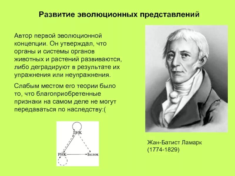 Эволюционные идеи ж б ламарка. Развитие эволюционных представлений. Эволюционные представления. Возникновение и развитие эволюционных представлений. Развитие идей и представлений об эволюции.