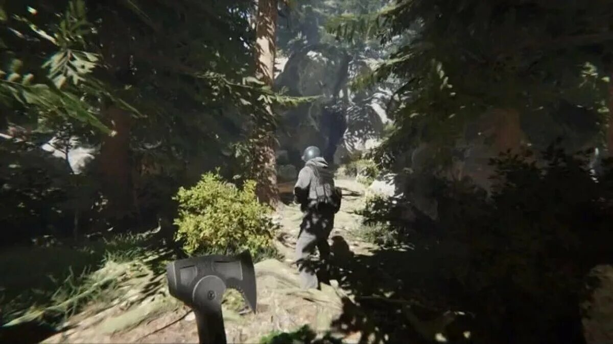 Sons of the forest вирджиния. Sounds of the forest игра. Sons of the forest лес. Sons of the forest 2. Сонс форест игра.