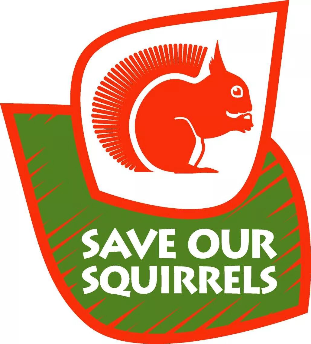 Save youtube video. Шадоуплей ansel. Save gallery. How to save music. Geforce хайлайты.