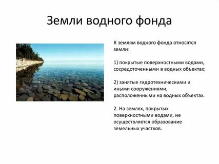 Водные объекты в лесном фонде