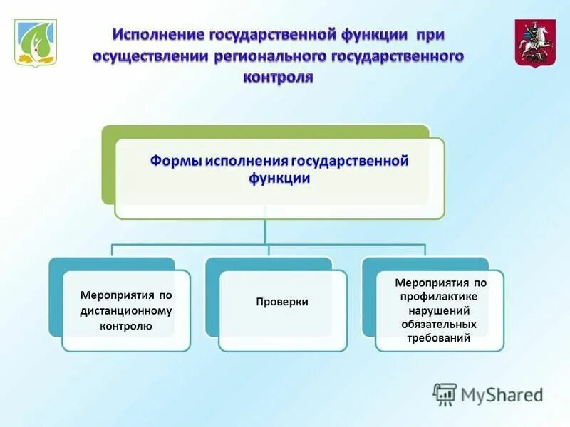 Исполнение государственных функций. Исполнение государственной функции. форма исполнения. государственные функции. функции гос.