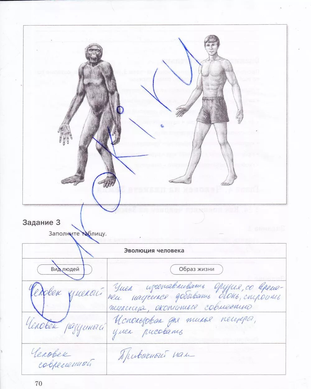 Биология 5 класс рабочая тетрадь стр 90. 5 Класс биология рабочая тетрадь Корнилова страница 5. Эволюция человека таблица по биологии. Человек задание по биологии 5 класс. Биология 5 класс рабочая тетрадь стр 70.