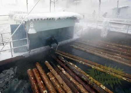 Погода в лесопильном