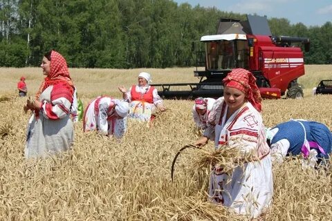 Кфх брянская область