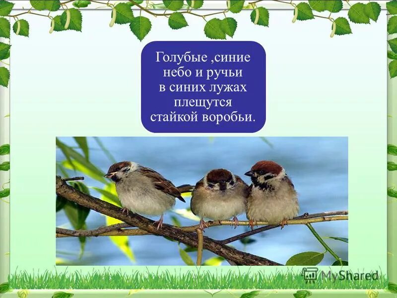 голубые синие небо и ручьи