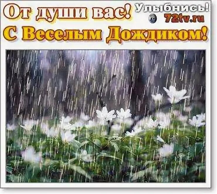 С добрым пасмурным утром 8 июня. 6 Апреля дождь доброе утро. Дождь прибьет, солнышко подымет. Опять дождь доброе утро картинки с надписями. Описание пасмурного весеннего дня