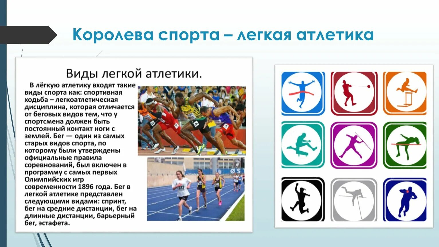 Какой спорт называется королевой спорта. Лёгкая атлетика королева спорта. королева спорта какой вид спорта.