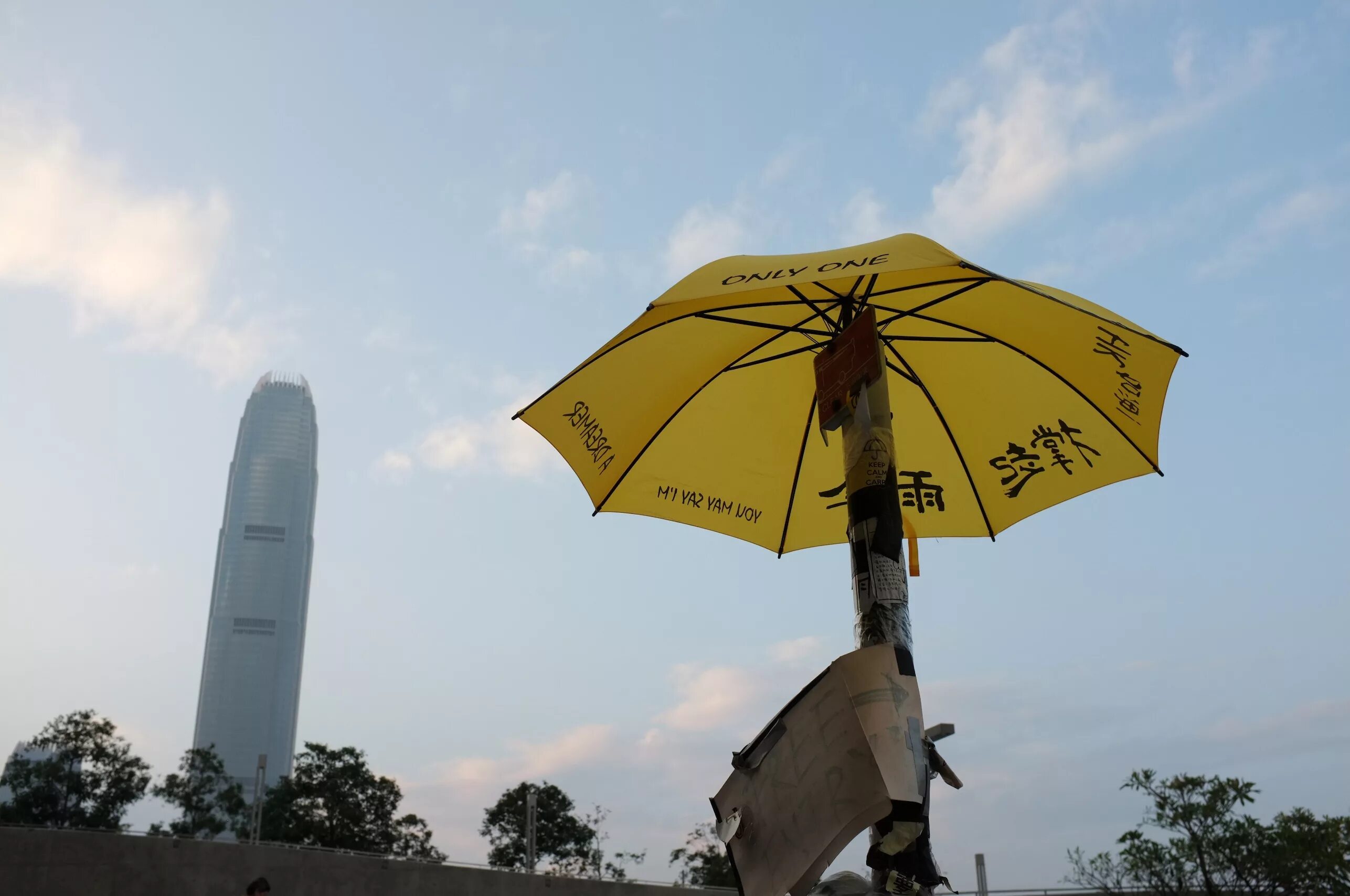 Зонтик реакция. Революция зонтиков в Гонконге в 2014 году. Восстание зонтиков в Гонконге. Зонт революционной тех характеристики. Последствия революции зонтиков в Гонконге 2014.