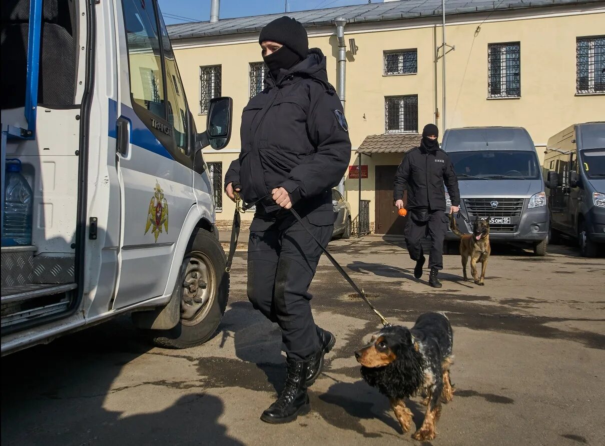 Питомник солдатов давыдовское