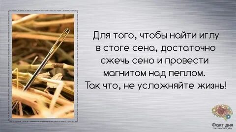 В сене нашли