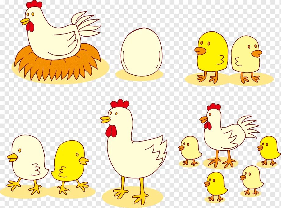 Рисунки с курами. Нарисовать курицу. Курица с цыплятами вектор. Курица с цыплятами рисунок. Рисование курица с цыплятами.